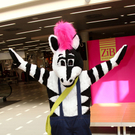 Zibi das Zebra