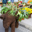 normal_17092011fmt_maxglan_ta_003.jpg