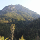 normal_17092011bwrlaktivenws_20_21_.jpg