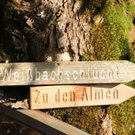 normal_17092011bwrlaktivenws_20_22_.jpg