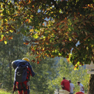 normal_17092011bwrlaktivenws_20_7_.jpg