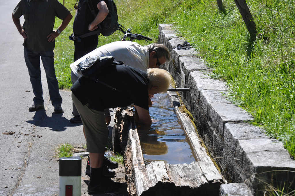 DSC_0028_JPG-1316329095