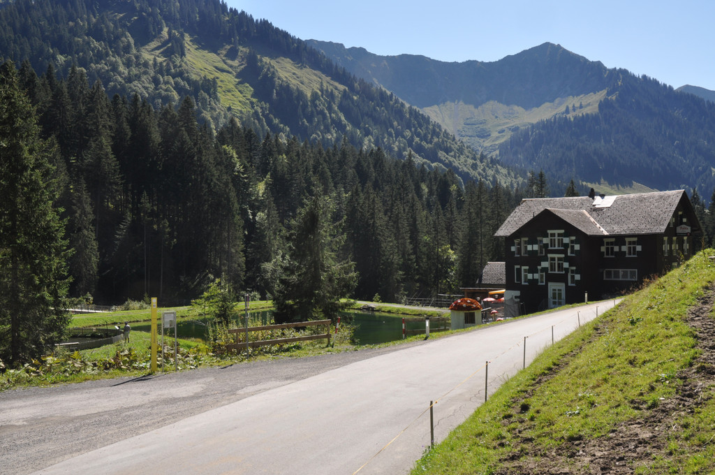 DSC_0052_JPG-1316329341