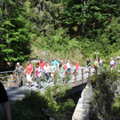 DSC_0066_JPG-1316329535