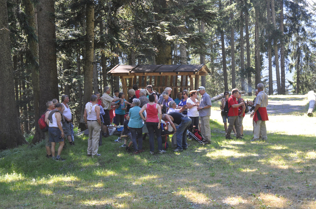 DSC_0071_JPG-1316329633