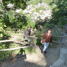 k-P1030942.JPG
