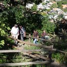 k-P1030944.JPG
