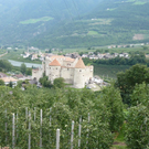 k-P1040023.JPG