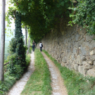 k-P1040026.JPG