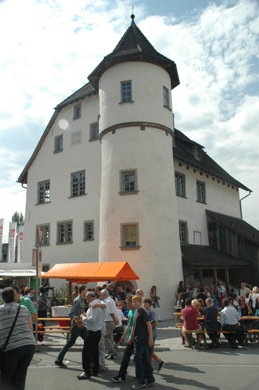 DSC_0490_JPG-1316338610