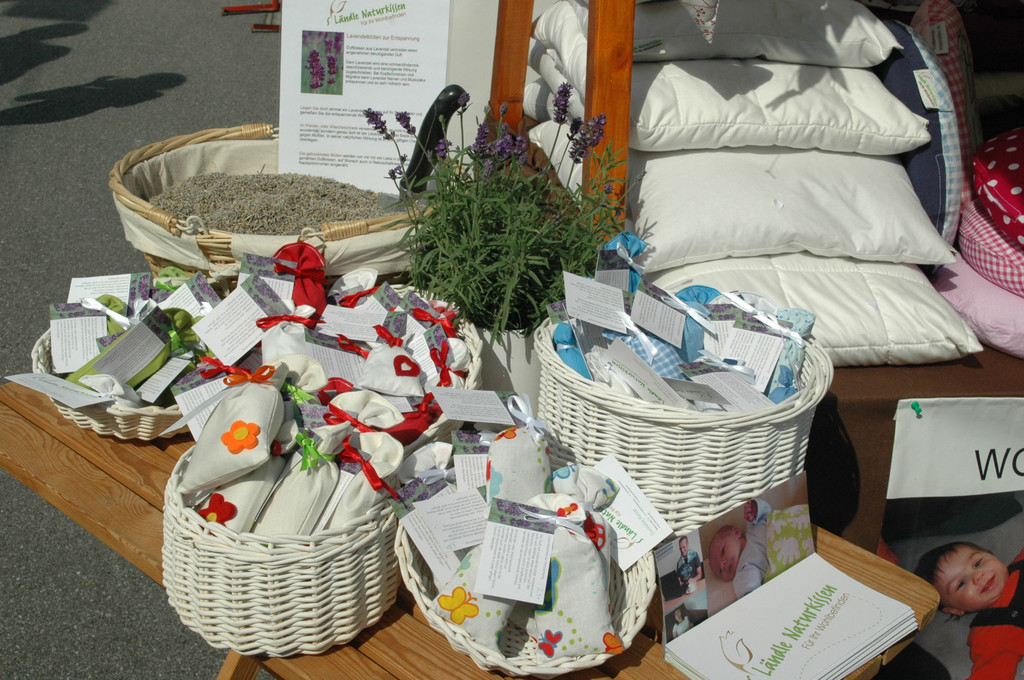 DSC_0493_JPG-1316338626