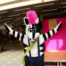 ZiBi16091107.jpg
