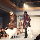 IMG_1401_jpg-1316361144