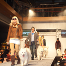 IMG_1402_jpg-1316361149