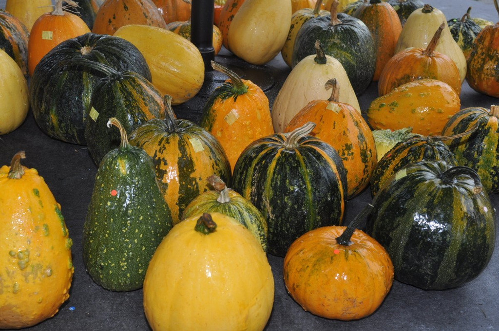 Kuerbismarkt24.JPG
