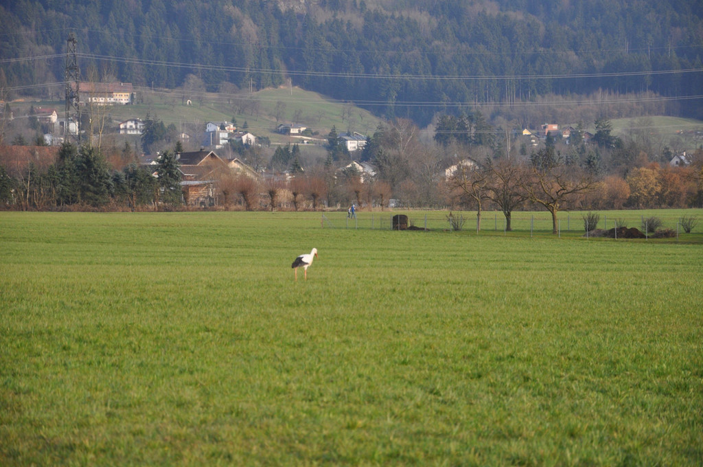 DSC_0001.JPG