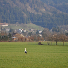 DSC_0003.JPG