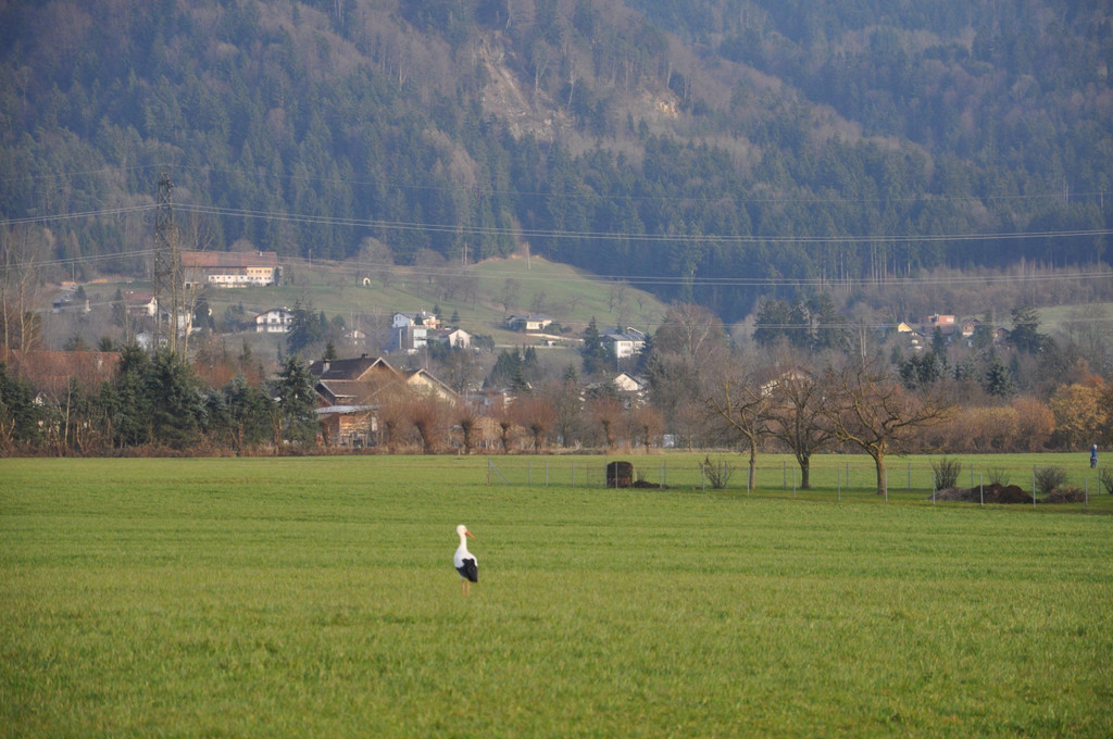 DSC_0003.JPG