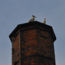 DSC_0029.JPG
