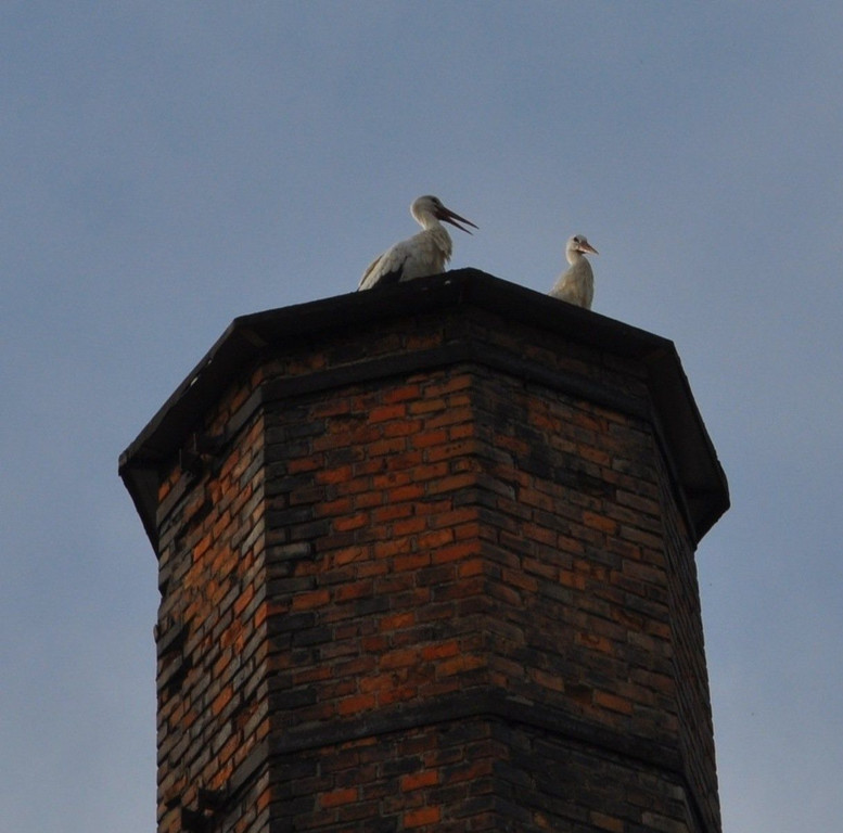 DSC_0029.JPG