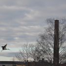 DSC_0066.JPG