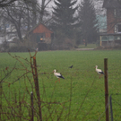 DSC_0109.JPG