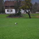 DSC_0125.JPG