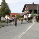 IMG_7711.jpg