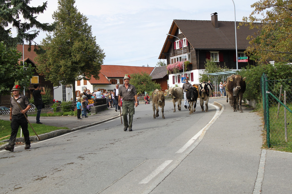 IMG_7711.jpg
