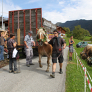 IMG_7727.jpg