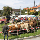 IMG_7747.jpg
