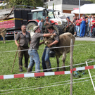 IMG_7749.jpg