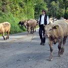DSC_0357_JPG-1316413068