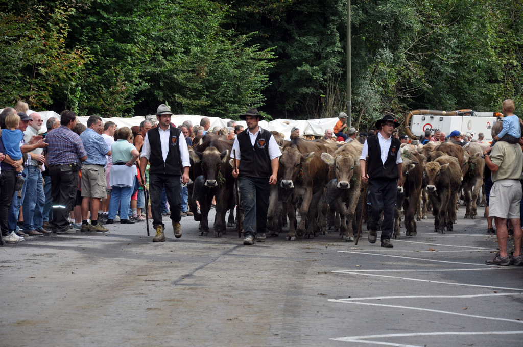 DSC_0366_JPG-1316413178