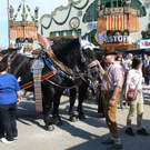 normal_17092011wiesnhmaktivnews__22_.jpg