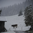 Schnee in den Gebirgsgauen