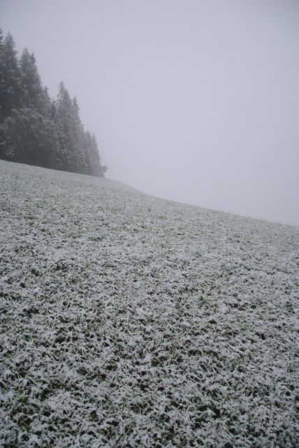 normal_190911schneesfaktivnews009.jpg