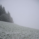 normal_190911schneesfaktivnews009.jpg