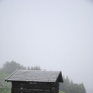 normal_190911schneesfaktivnews011.jpg