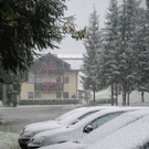 normal_190911schneesfaktivnews014.jpg