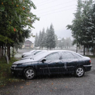 normal_190911schneesfaktivnews015.jpg