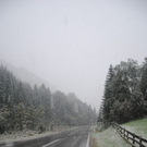 normal_190911schneesfaktivnews019.jpg