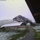 nenzing alpe gamp.jpg