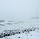 normal_190911schneegmaktivnews12.jpg