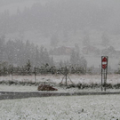 normal_19092011fmt_wintereinbruch_fm_02.jpg