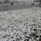 normal_19092011fmt_wintereinbruch_fm_04.jpg