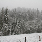 normal_19092011fmt_wintereinbruch_fm_09.jpg