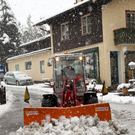 SchneeRauris19091109.jpg