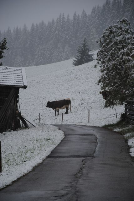 normal_190911schneesfaktivnews001.jpg
