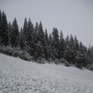 normal_190911schneesfaktivnews002.jpg